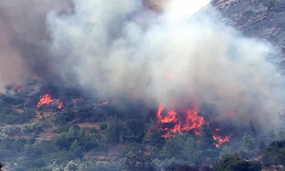 Φωτιά στη Χίο: Στο σημείο ισχυρές πυροσβεστικές δυνάμεις